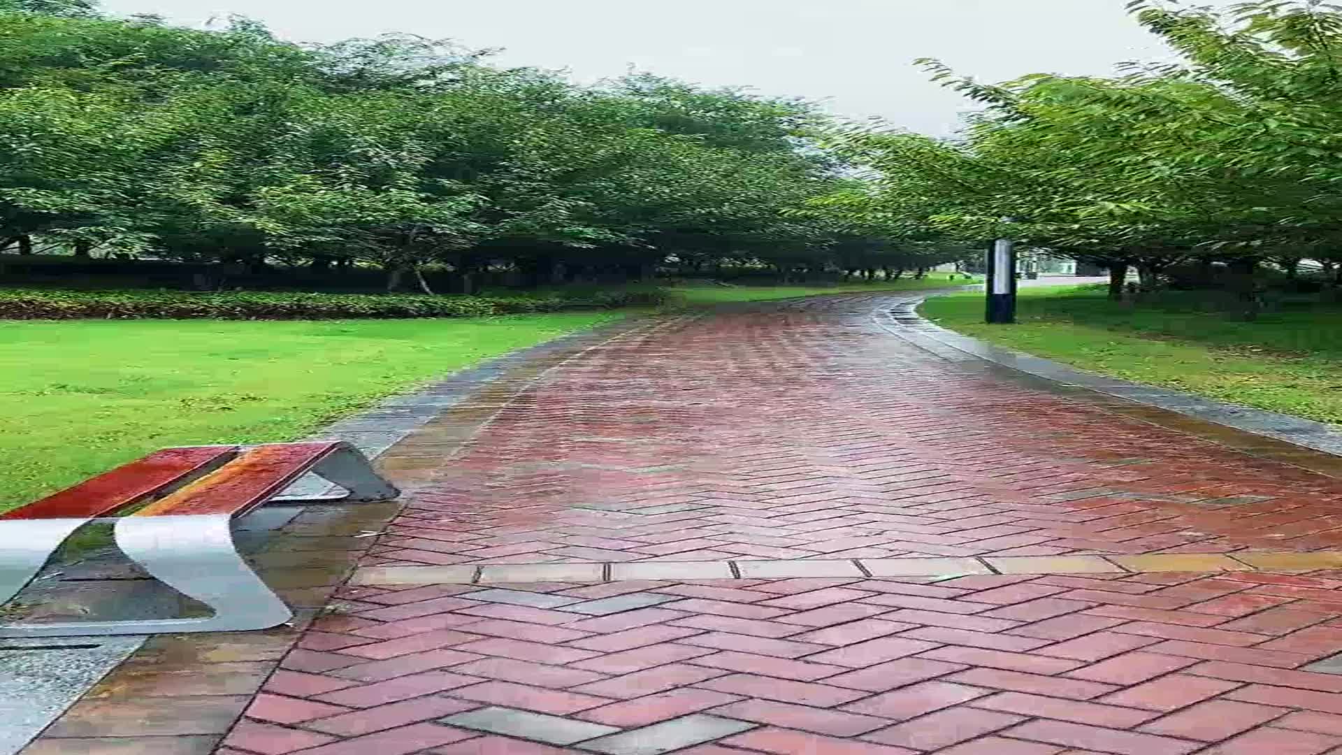 一首歌曲歌词朗朗上口哪里都是你队长