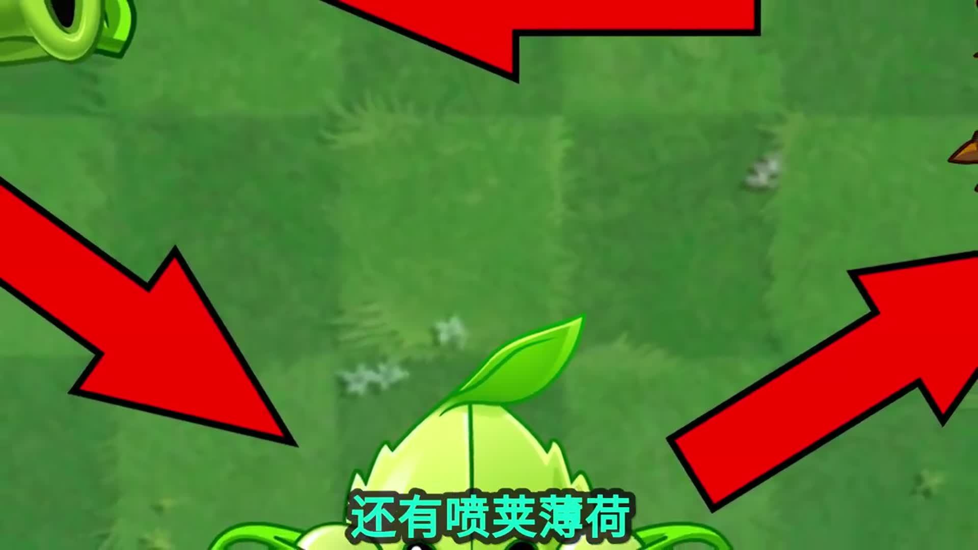 植物大战僵尸神奇的豌豆藤蔓