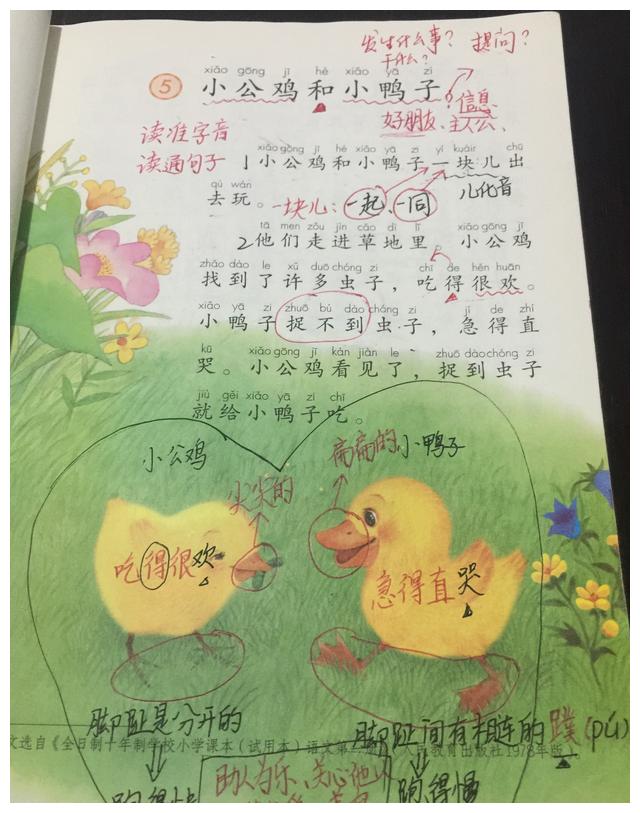 5《小公鸡和小鸭子》教学笔记分享,需要的可以收藏哦