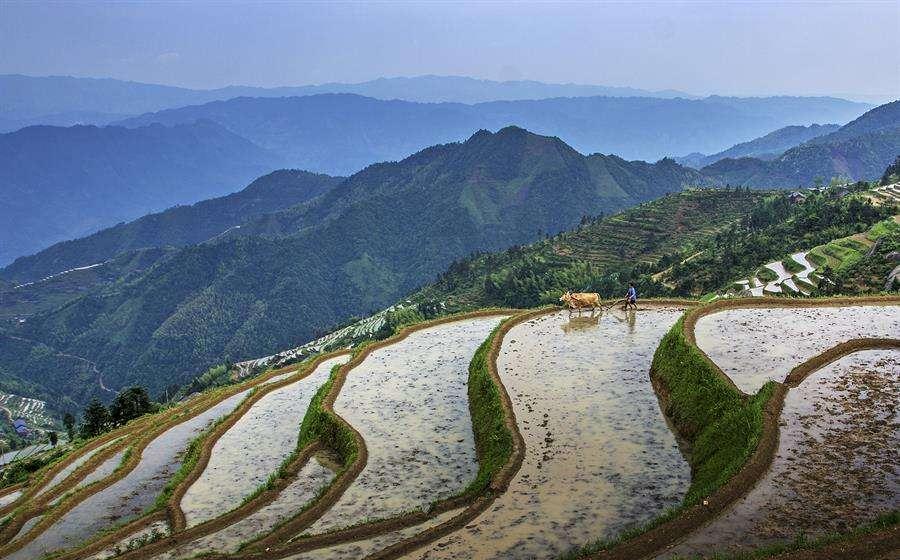 溆浦县gdp排名_怀化市13县市区城区面积排名和2019年经济数据