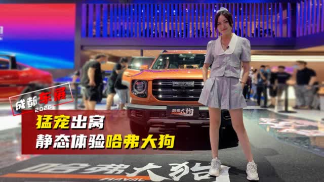 成都车展：猛宠出窝 静态体验哈弗大狗