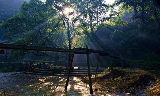 王红阳:黄金高处不胜寒,今日回调依旧存在!