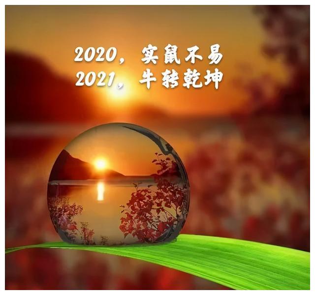 2020实鼠不易2021牛转乾坤