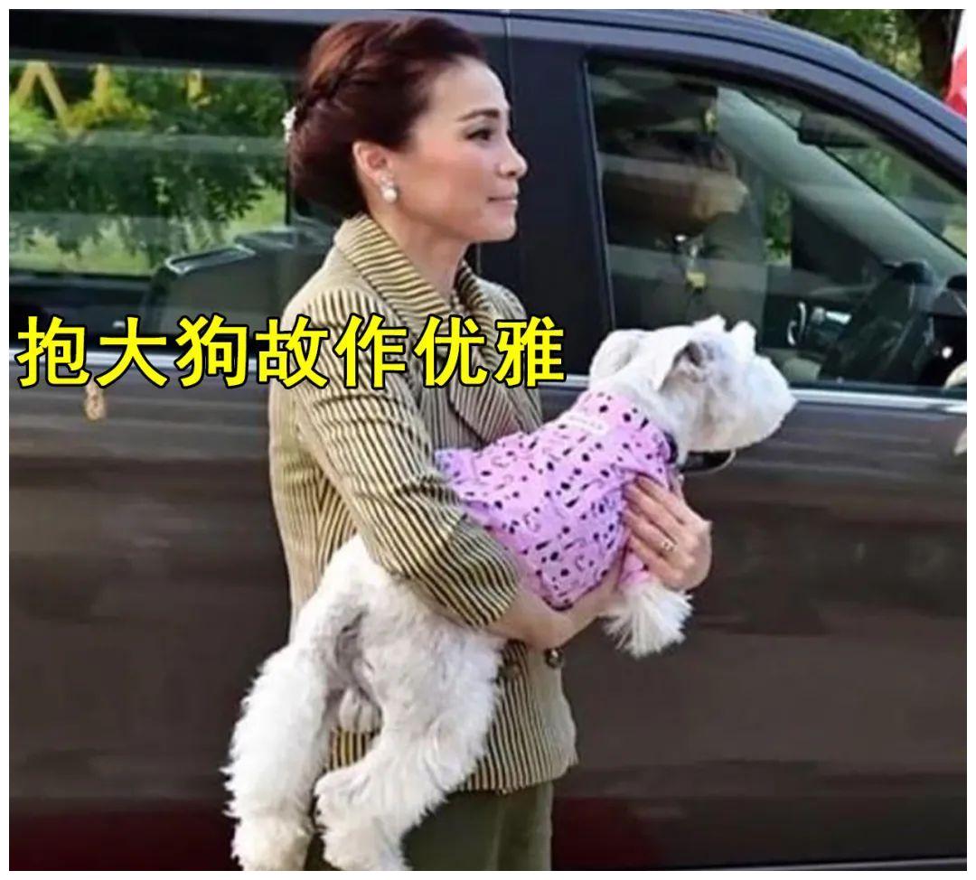 泰国王后学贵妃抱狗,却挑了一只大白狗,体型太大抱起来真费劲!
