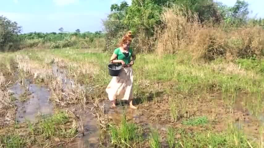 柬埔寨俏媳妇水田遛弯，意外发现鲶鱼窝，这下赚大发了