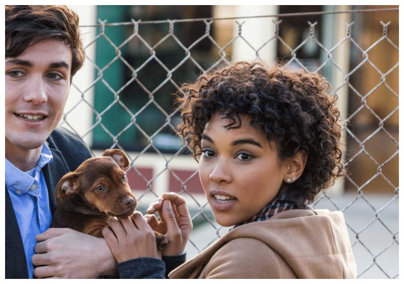 《一条狗的回家路》:一场忠犬的冒险之旅,只为最后的温暖休闲区蓝鸢梦想 - Www.slyday.coM 《一条狗的回家路》:一场忠犬的冒险之旅,只为最后的温暖休闲区蓝鸢梦想 - Www.slyday.coM