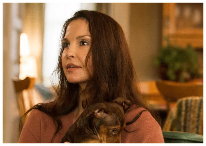 《一条狗的回家路》:一场忠犬的冒险之旅,只为最后的温暖休闲区蓝鸢梦想 - Www.slyday.coM 《一条狗的回家路》:一场忠犬的冒险之旅,只为最后的温暖休闲区蓝鸢梦想 - Www.slyday.coM