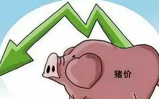 为何说猪肉价格下跌忧喜参半