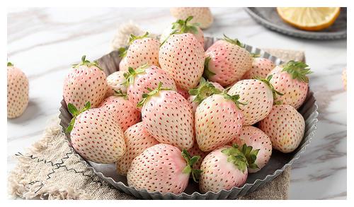 十分昂贵的3种草莓淡雪草莓牛奶草莓法兰地草莓