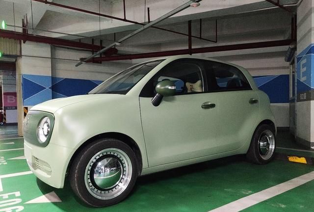 2020年1月汽车销售微型车冠军