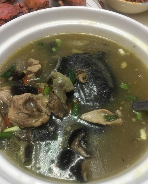 怎么样处理甲鱼 738a-iwpcxks4036426.jpg