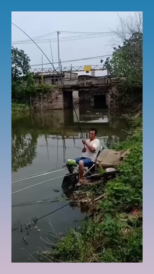 鱼没钓到，草钩了不少啊