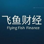  Flying Fish Financial Review