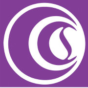 清华大学国情研究院