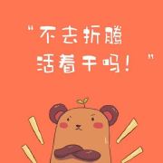 爱折腾的小赵同学