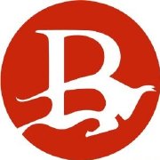 何小冰-黄金9点钟