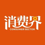  Consumer sector