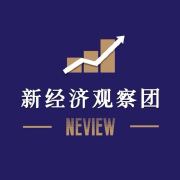新经济观察团_新锐财金