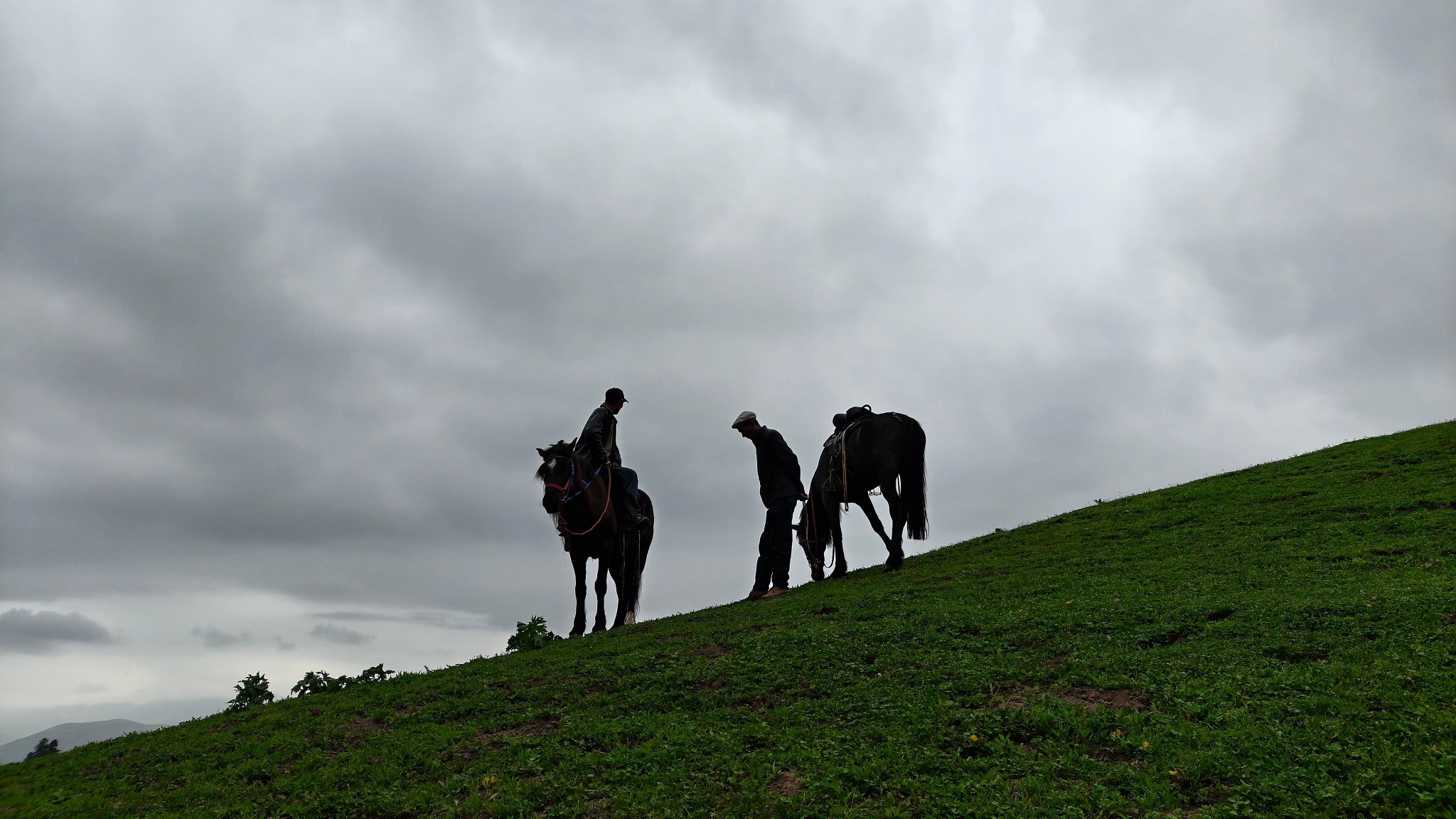 牧马人山坡剪影如雕塑，马群草原轻快呼啸