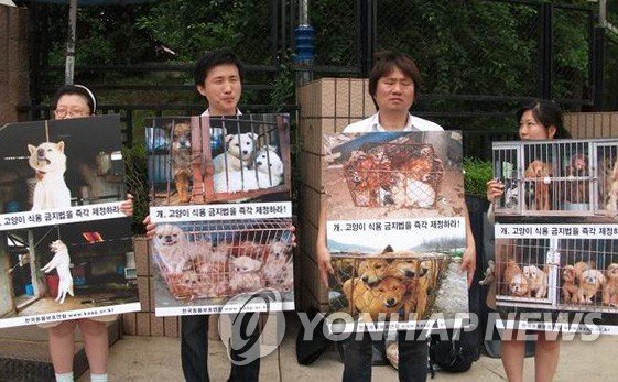 彻底告别狗肉，<a href=