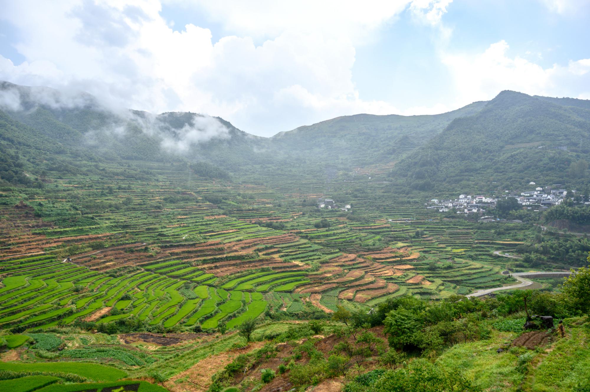 浙江上虞曾经有一个“光棍村”,如今成了“中国最美村镇”之一 浙江上虞曾经有一个“光棍村”,如今成了“中国最美村镇”之一