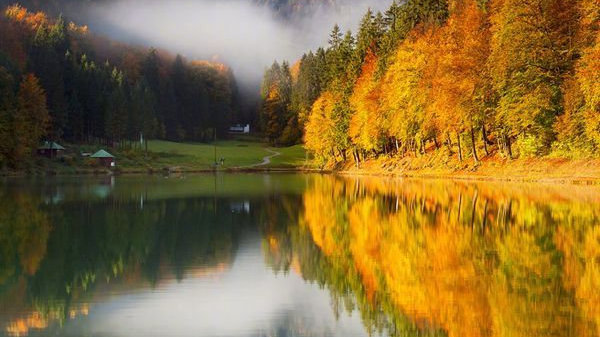 上了高速之后才知道德系车和日系车的区别，看完心服口服！