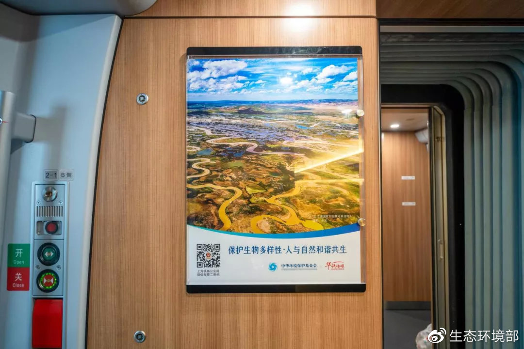 生物多样性保护公益专列启程,基金会携手华铁传媒助力COP15宣传活动休闲区蓝鸢梦想 - Www.slyday.coM 生物多样性保护公益专列启程,基金会携手华铁传媒助力COP15宣传活动休闲区蓝鸢梦想 - Www.slyday.coM