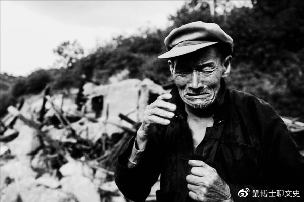 不会飞会游泳的企鹅