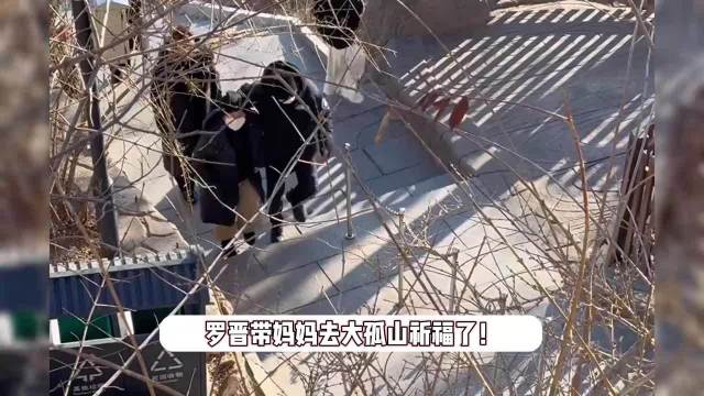 罗父去世快一个月后，罗晋带母亲去大孤山祈福，搀扶妈妈上山不见唐嫣