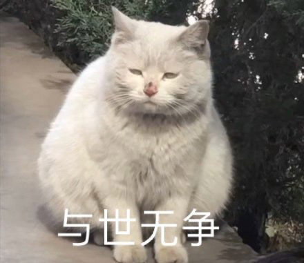 202073今日份沙雕表情包合集