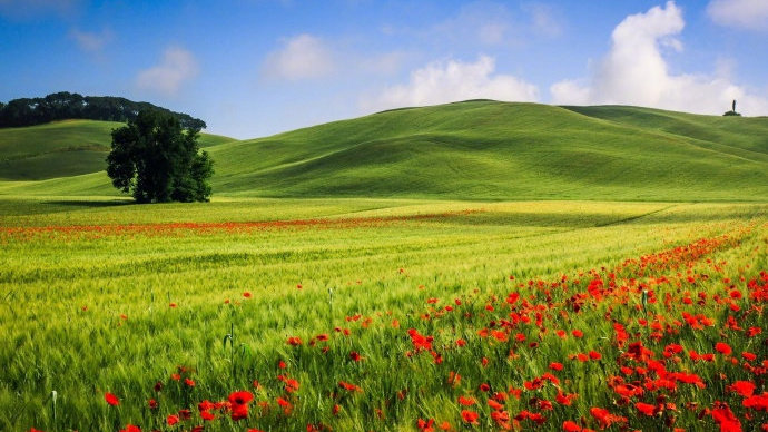 司机提醒：轮胎出现这些状况应立即更换，发生事故再换就晚了！