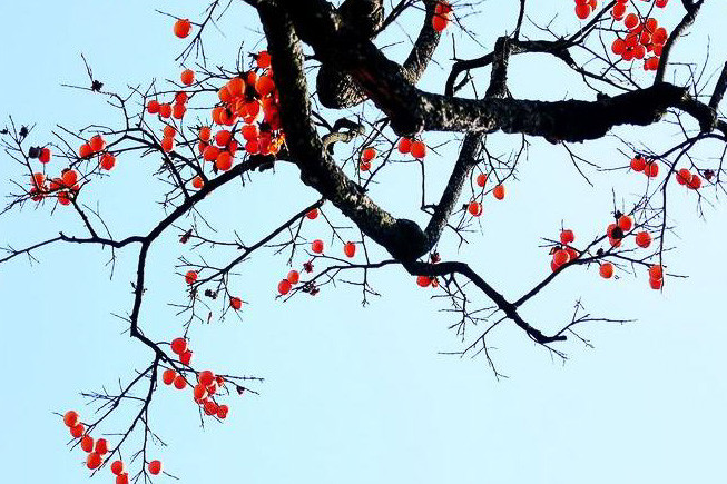 寒冬腊月，哪3生肖人有贵人雪中送炭，人气财气火旺，步入上升期
