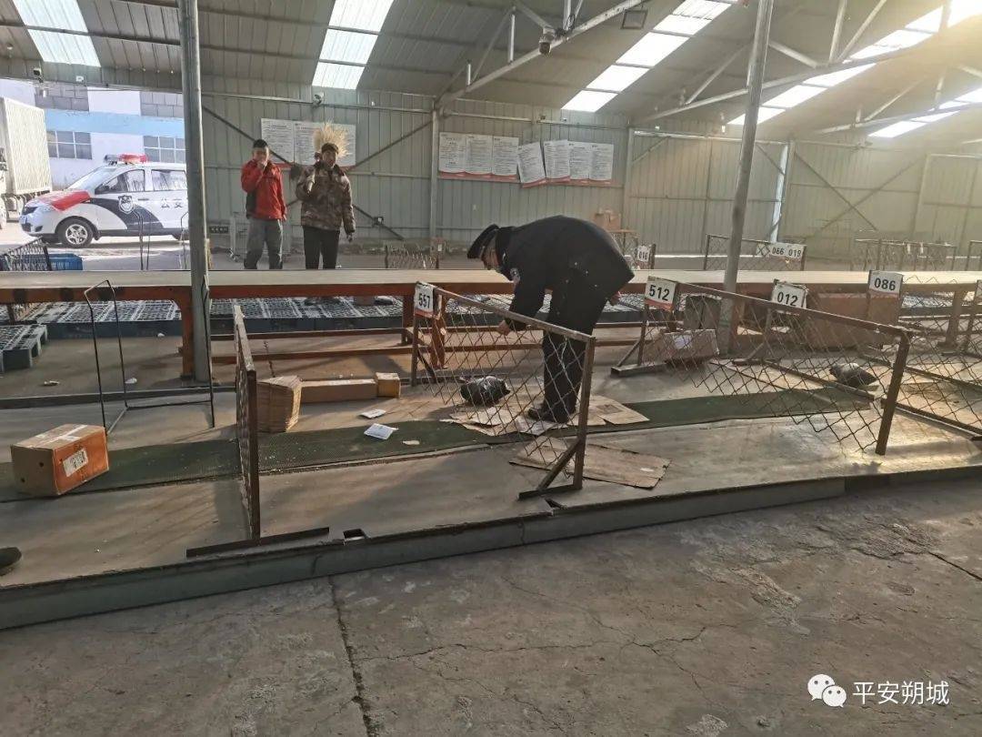 【守护万家平安】警徽在一线闪耀 倾力守护平安年休闲区蓝鸢梦想 - Www.slyday.coM 【守护万家平安】警徽在一线闪耀 倾力守护平安年休闲区蓝鸢梦想 - Www.slyday.coM