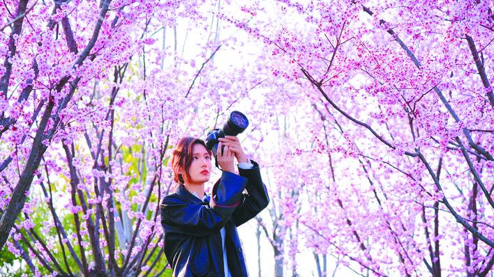 追拍·播撒·传芳