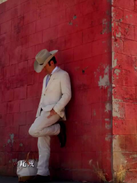 推荐去看原片 风骚律师