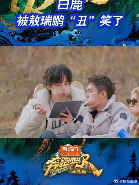 白鹿被敖瑞鹏“丑”笑了