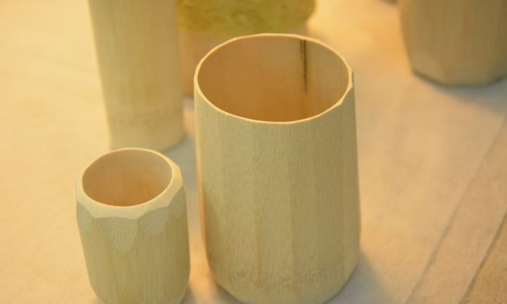 又1黑科技!中国用竹子造高铁,比钢铁还坚固?未来有望全面推广