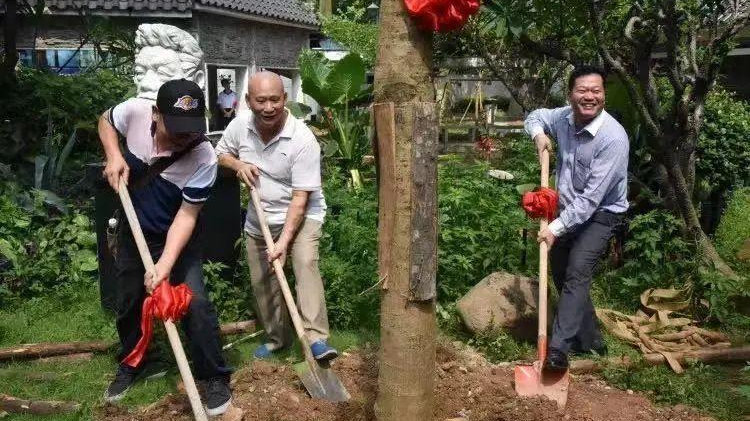 我爱广东省财经职业技术学校︱校园的凤凰树开花啦