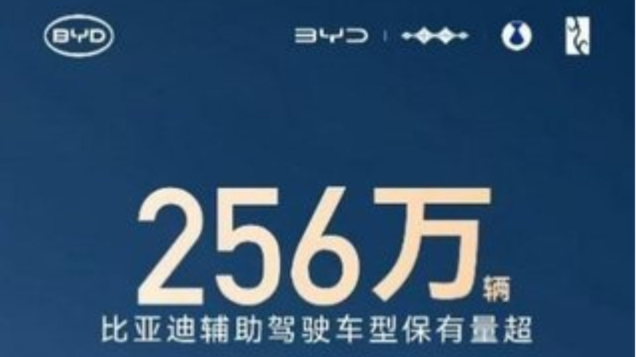256 万 + 用户共同选择，比亚迪辅助驾驶跑出加速度