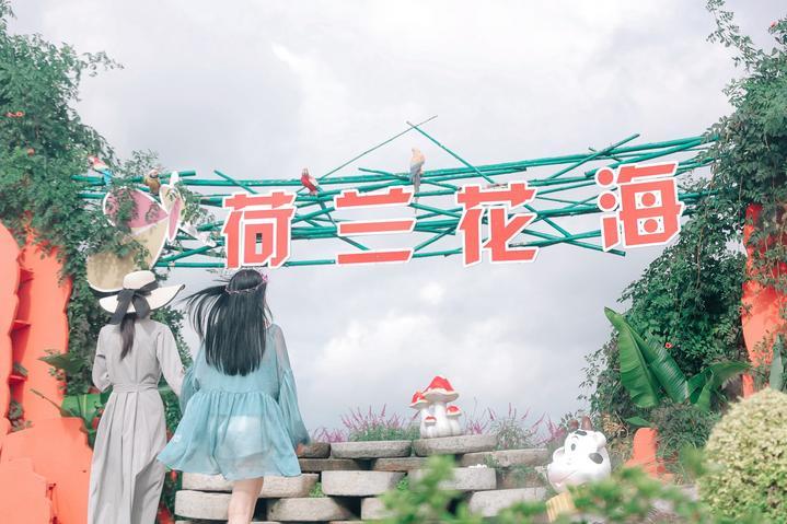 奔赴一场爱的百合花盛宴丨江苏盐城<a href=