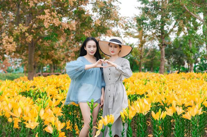 奔赴一场爱的百合花盛宴丨江苏盐城<a href=