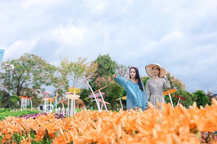 奔赴一场爱的百合花盛宴丨江苏盐城<a href=