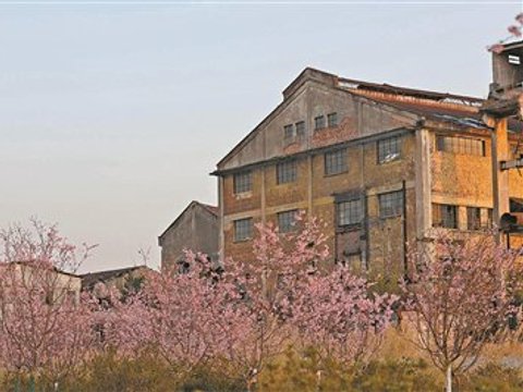 繁花为证续甜忆 工业遗址焕新生
