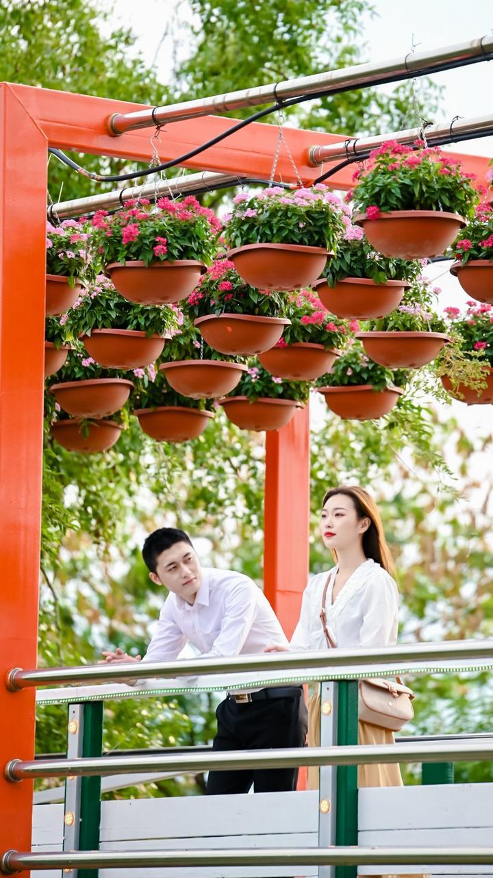 奔赴一场爱的百合花盛宴丨江苏盐城<a href=