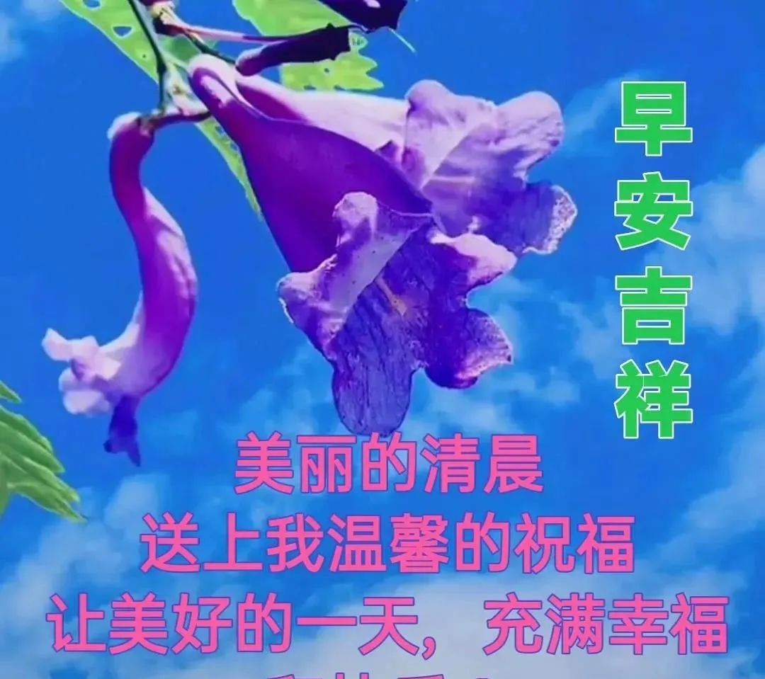 5月9日周二早上好清晨暖心祝福语图片问候语 - 哔哩哔哩