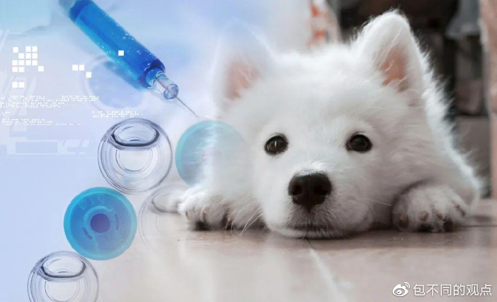 瑞鹏和新瑞鹏关系（买大的新瑞鹏，难当中国宠医第一股？）