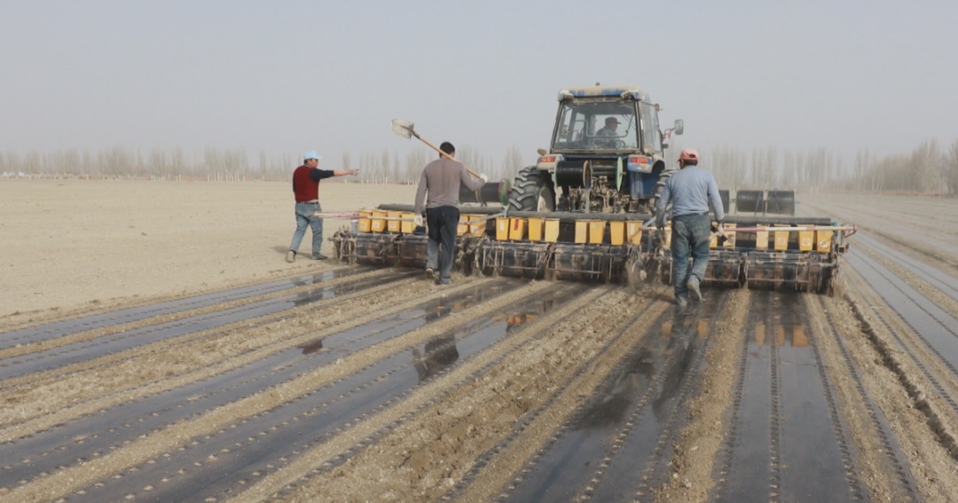 第一师阿拉尔市人力资源和社会保障局工作时间