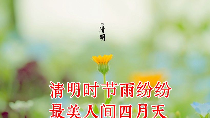 2022年清明节问候语图片大全清明节问候语温馨句子