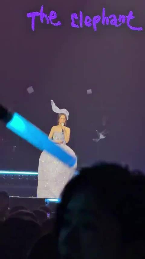 杨丞琳成都演唱会 李荣浩也来探班啦