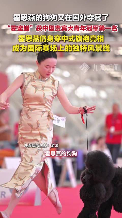 霍思燕爱犬意大利世界杯犬展夺冠